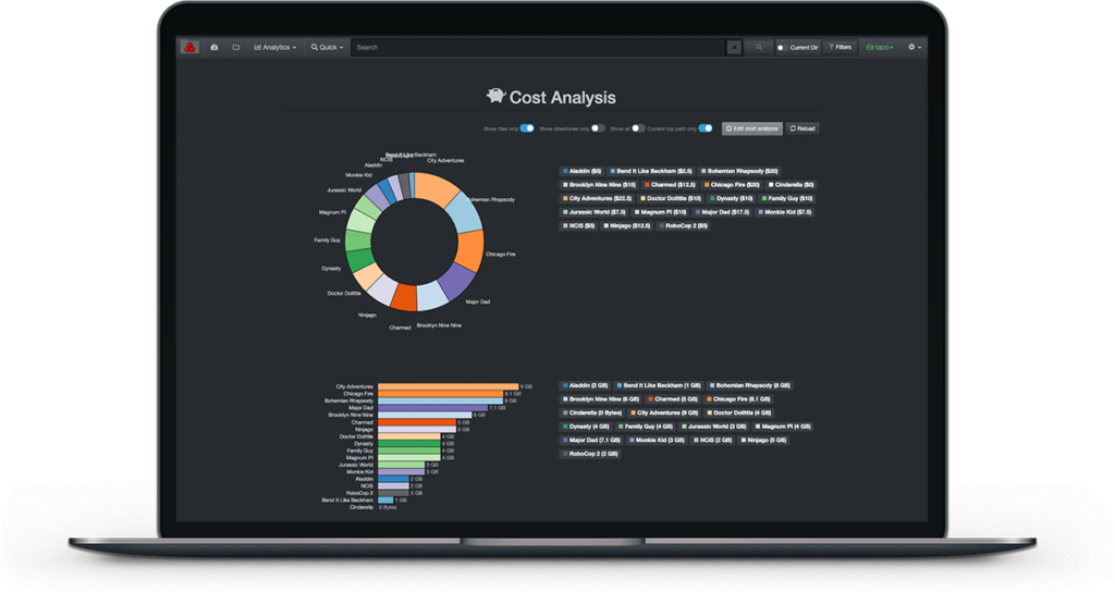 Image of a laptop with Diskover cost analysis report part of the Diskover Data Management Solution